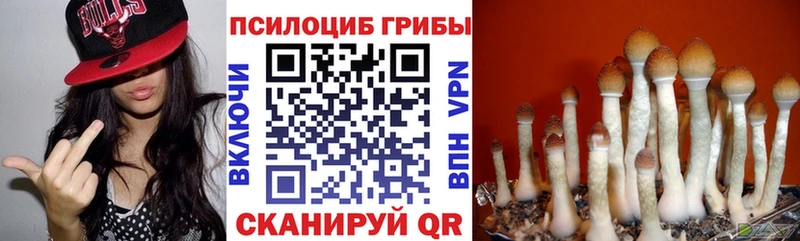 Псилоцибиновые грибы прущие грибы  Копейск 